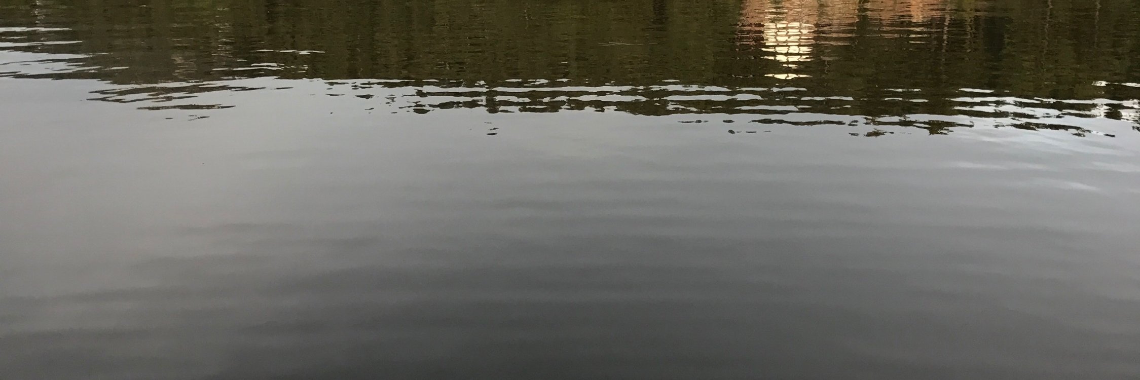 htrent's profile banner image