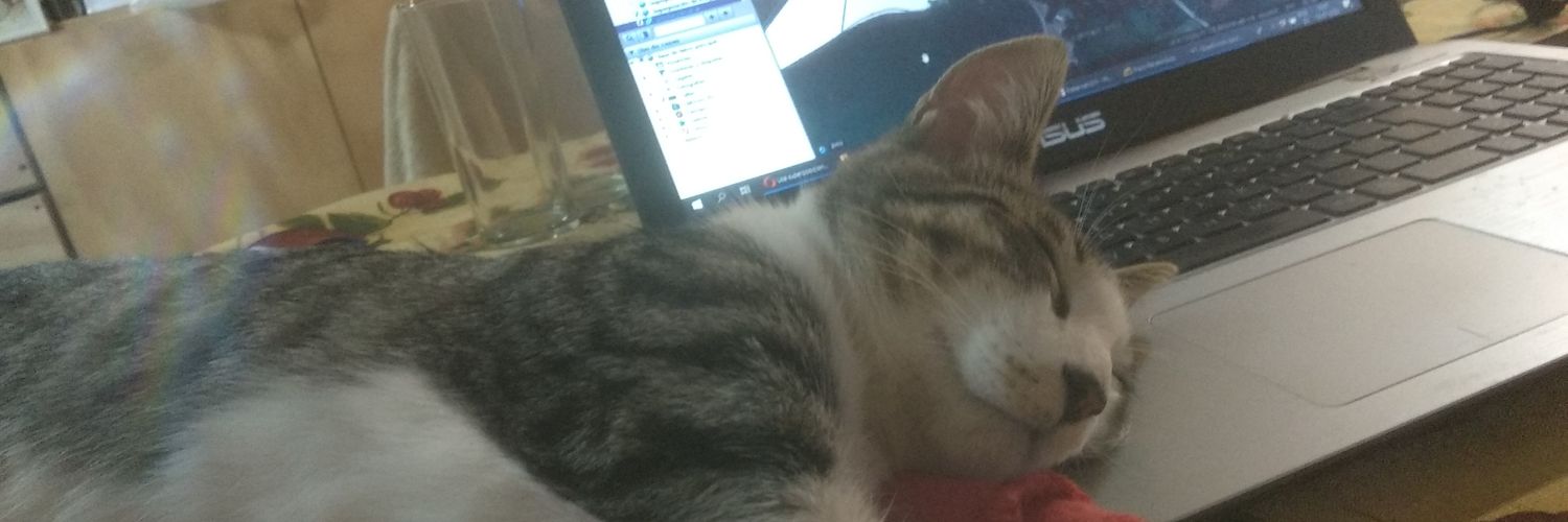 erwincea's profile banner image