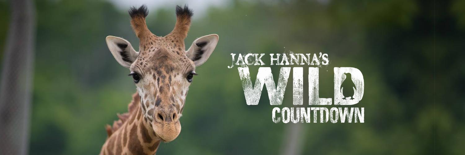 WildCountdown's profile banner image