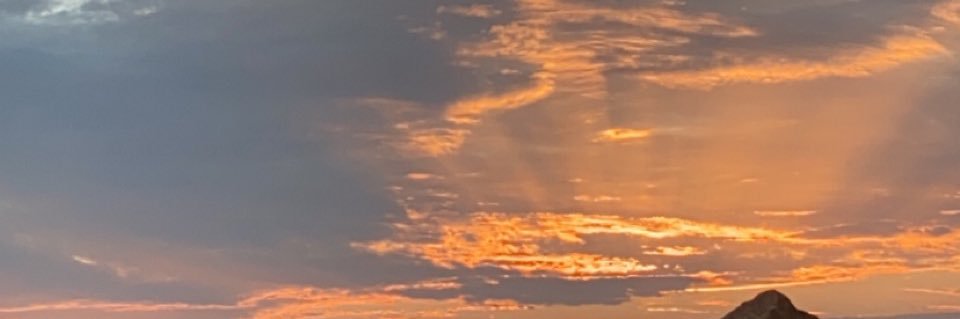 sissouu__'s profile banner image