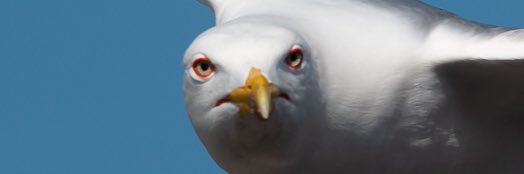 Edu_1973's profile banner image