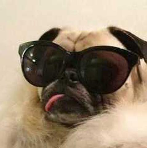 Ni Tan Cayito banner