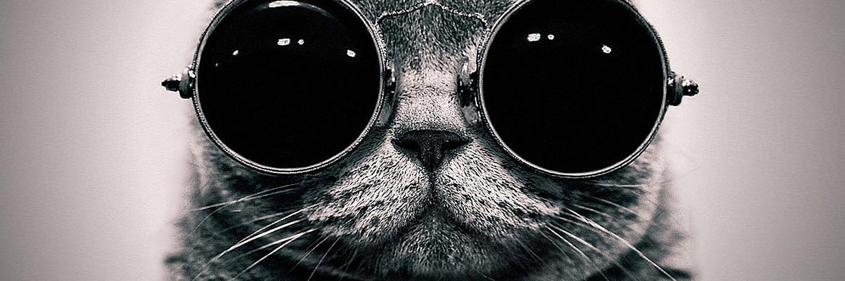 Okan_Hoca's profile banner image