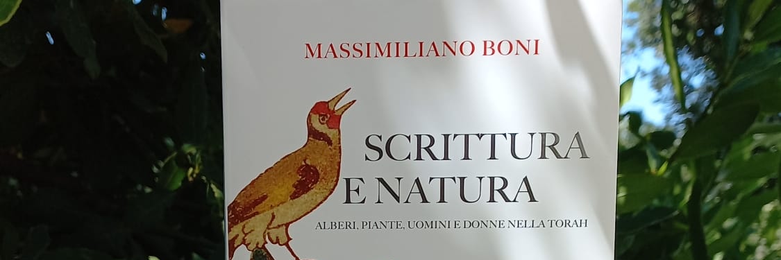 bonim71's profile banner image
