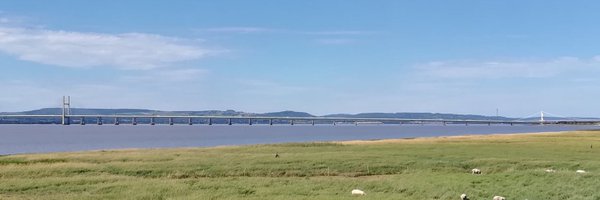SevernEstuary Profile Banner