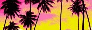 intertwinedsa's profile banner image