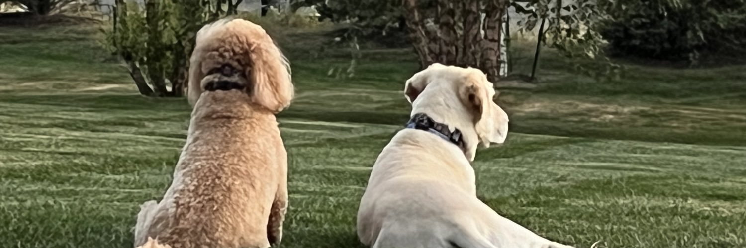 CayNielsen's profile banner image