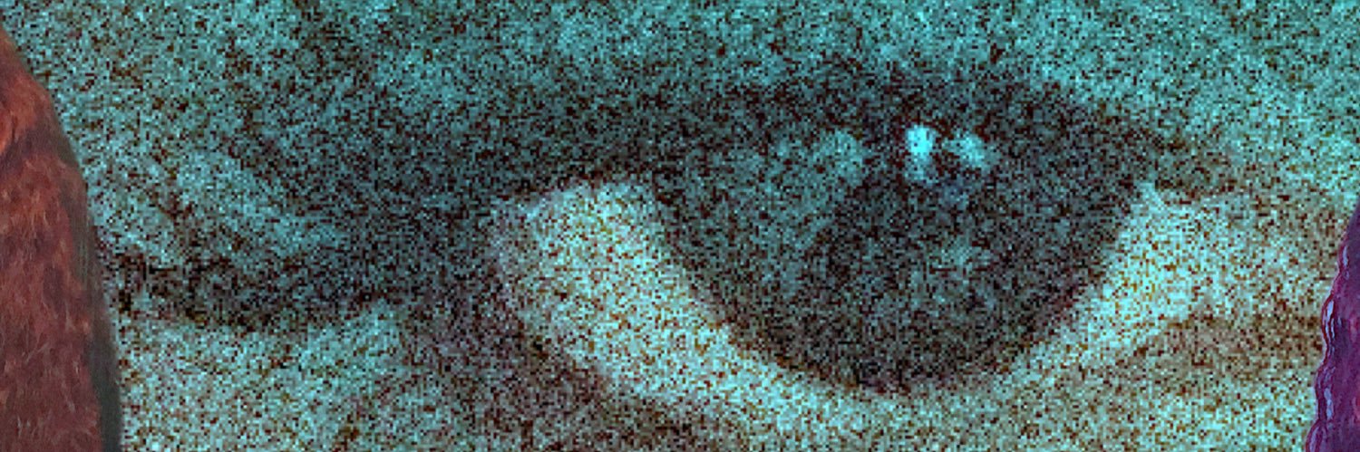 A Versatile Artist 🇵🇸🇨🇩🇸🇸🇭🇹 banner