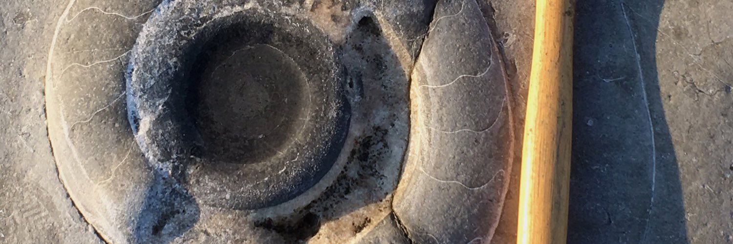 lymefossilsnet's profile banner image