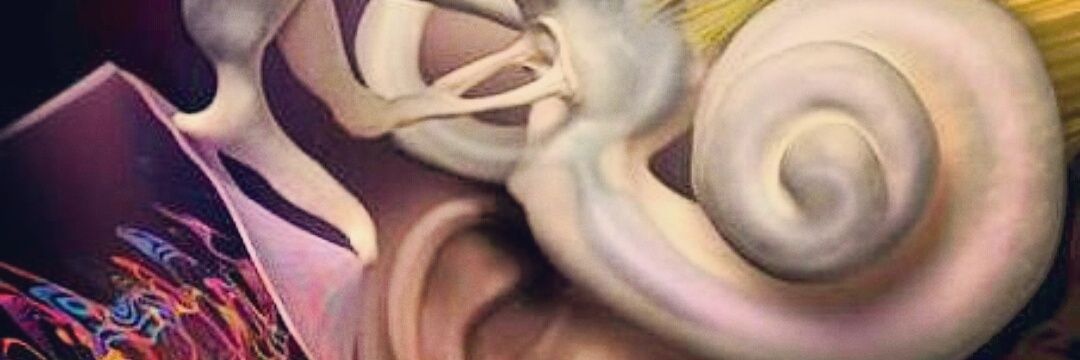 PupeHeinichen's profile banner image