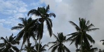 angelaadeaa's profile banner image