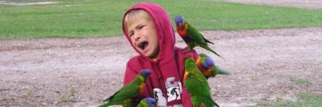 Gabriel Bryan banner