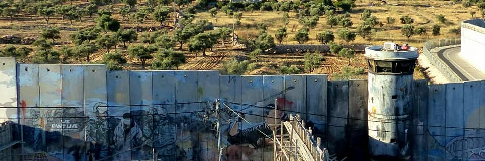 Leire Regadas banner