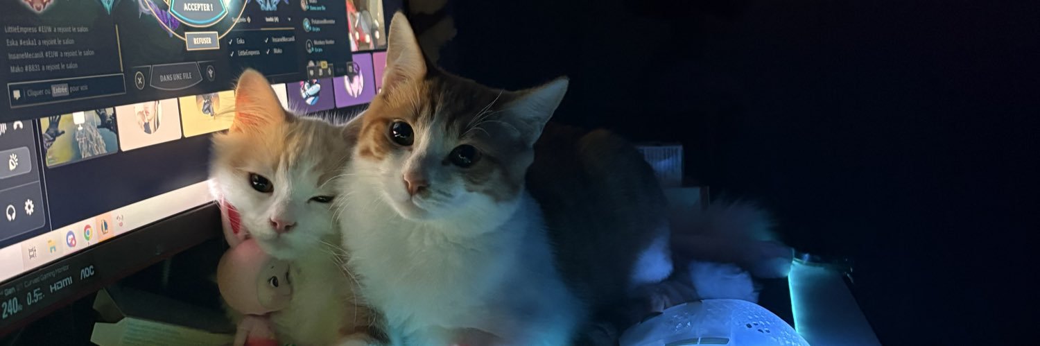 Muas_Camille's profile banner image
