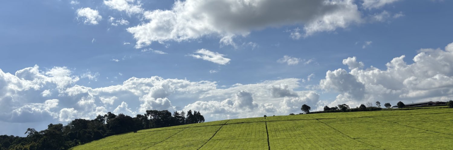 Gerance Mutwol. banner