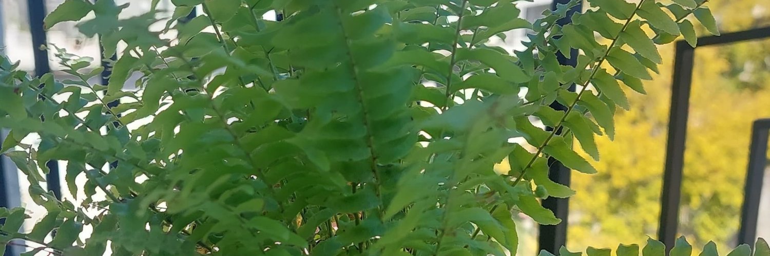 enyer_333's profile banner image