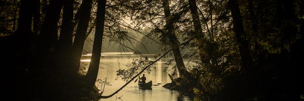 naturen Profile Banner