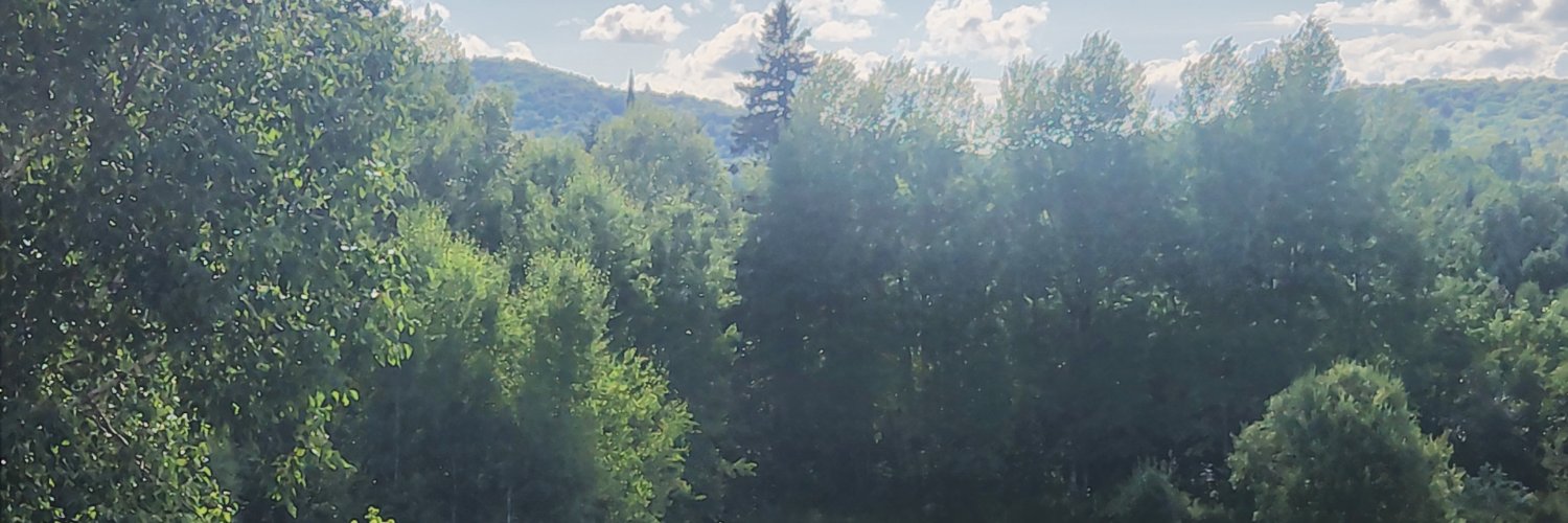 edward_beaulieu's profile banner image