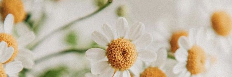 kelmay_x3's profile banner image