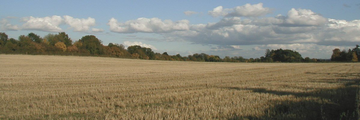 Soil Security Team banner