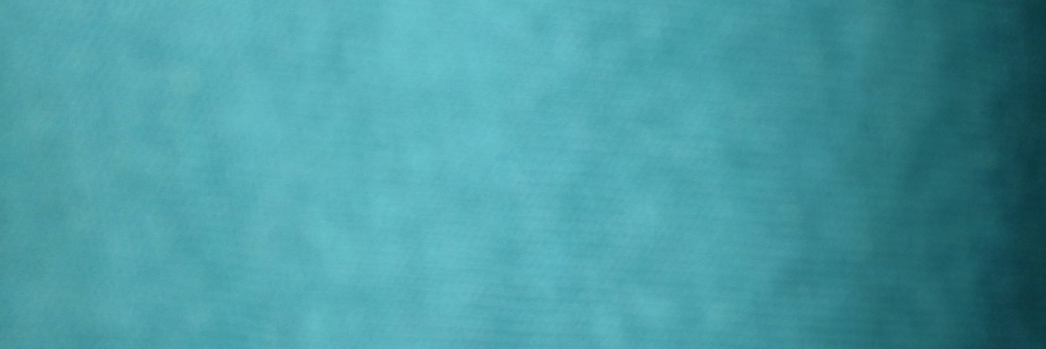 micheleragon's profile banner image