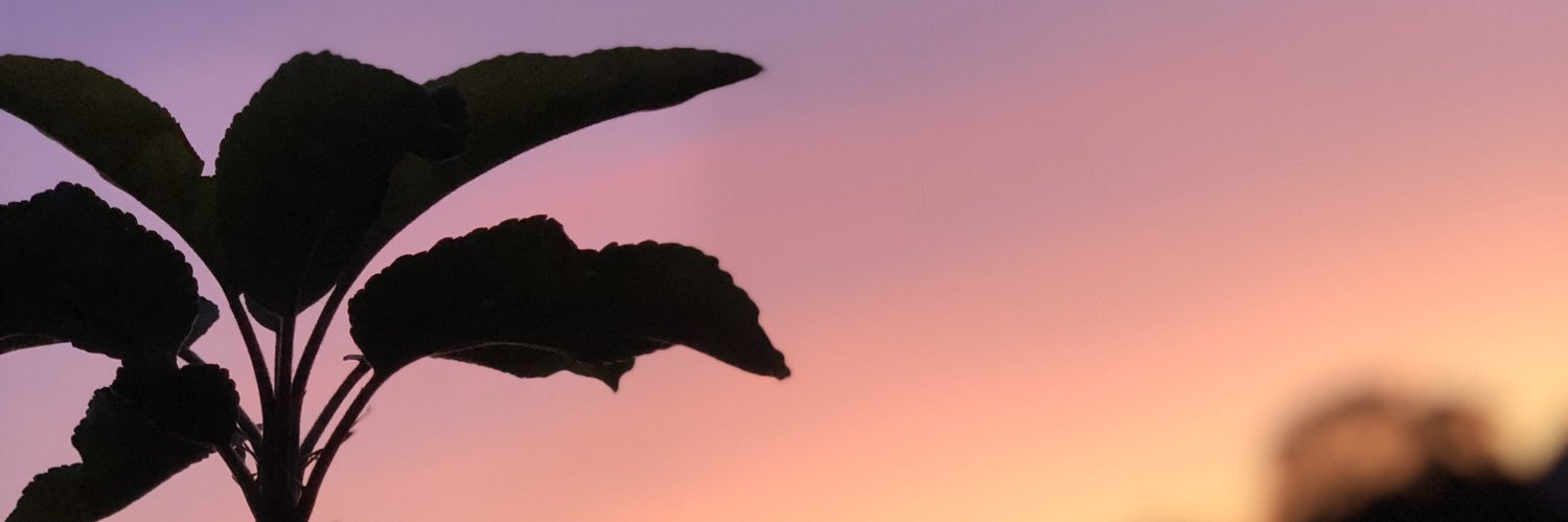 Megyn16's profile banner image