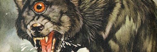 morossini's profile banner image