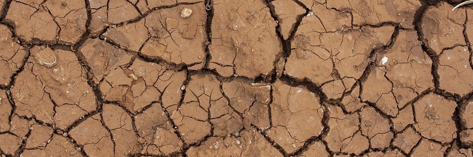 albafacs's profile banner image