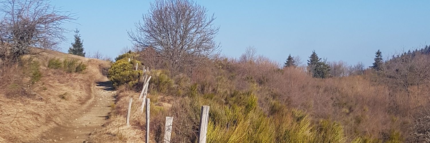 marc boyer banner