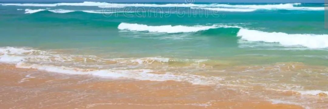 Samantha Avignone banner