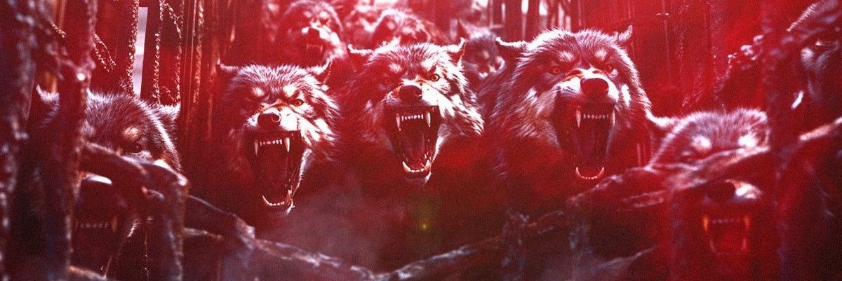 ncsu97's profile banner image