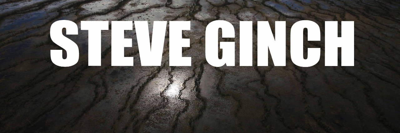 SteveGinch's profile banner image
