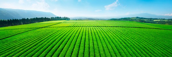 ITO_EN Profile Banner