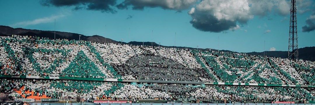 Choco Verdolaga banner