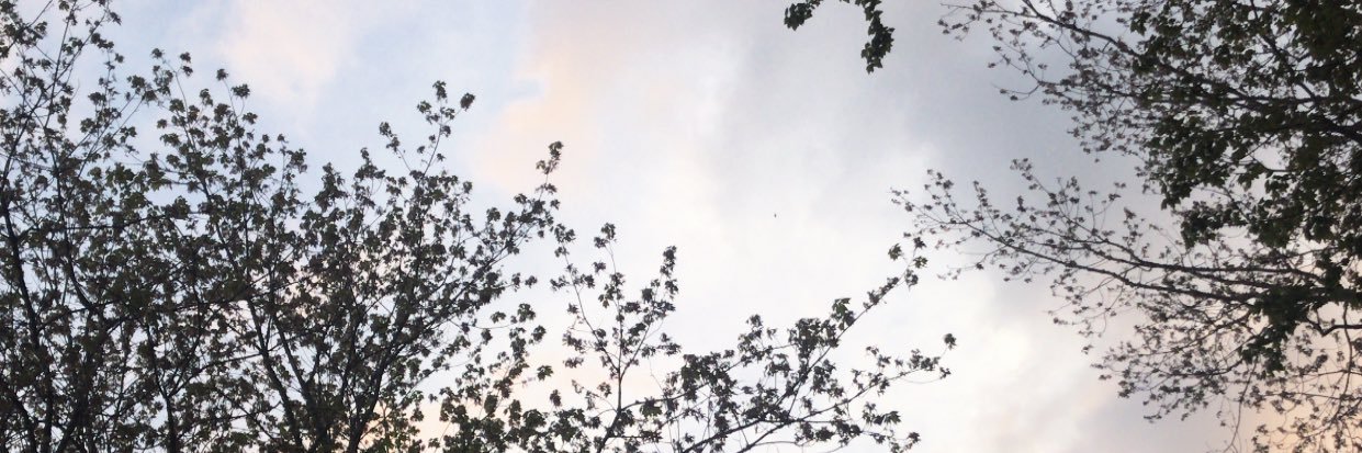 MalloryAdams_'s profile banner image