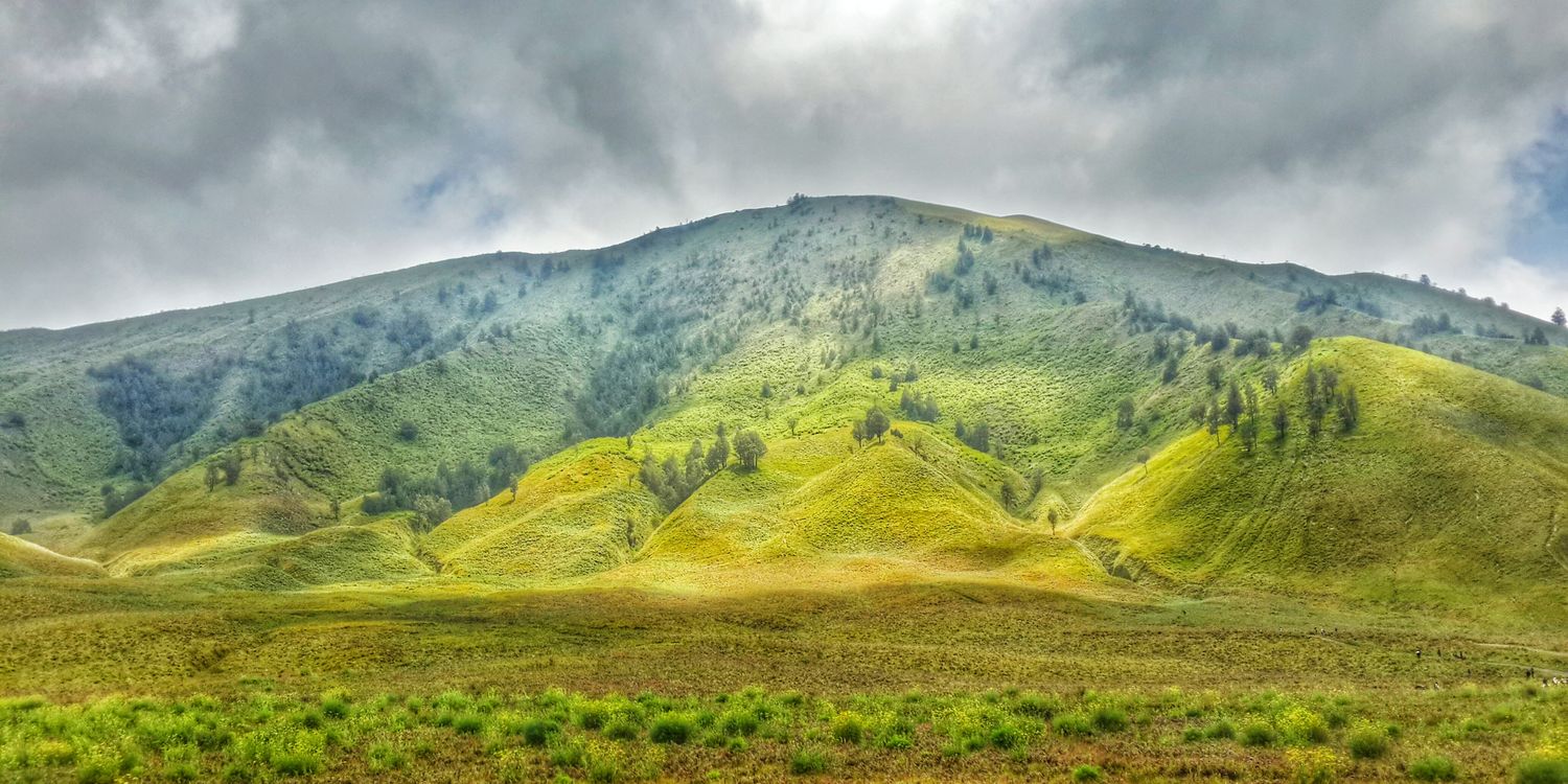 ArthurNelsonC's profile banner image