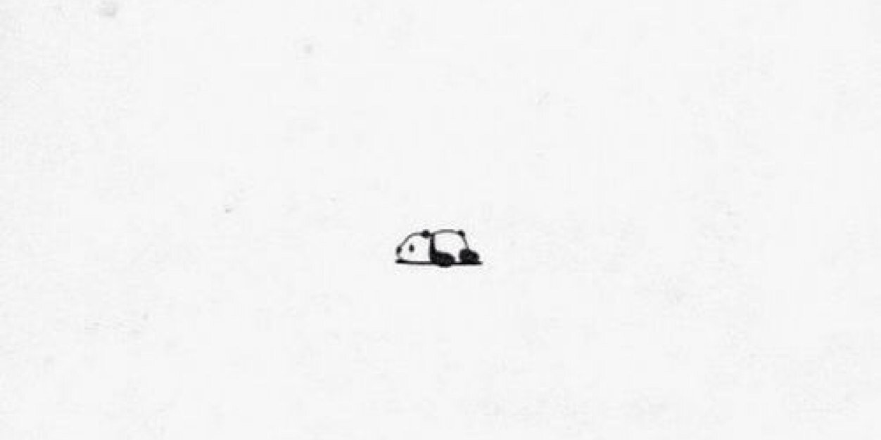 Jantine_Hout's profile banner image