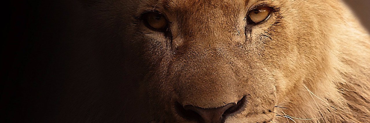 Marcoantg's profile banner image
