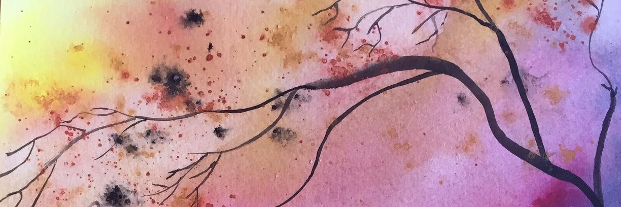 lifewithdawna's profile banner image
