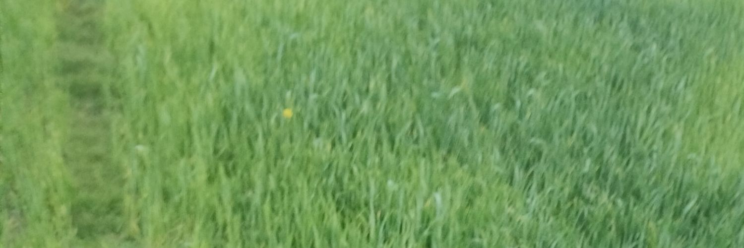 rohit0gupta0's profile banner image
