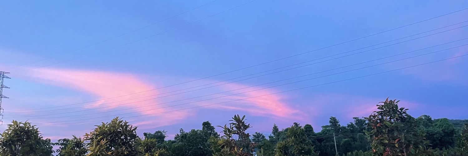 dianwu777's profile banner image