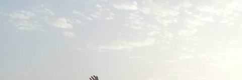 Victoria Sedgwick banner