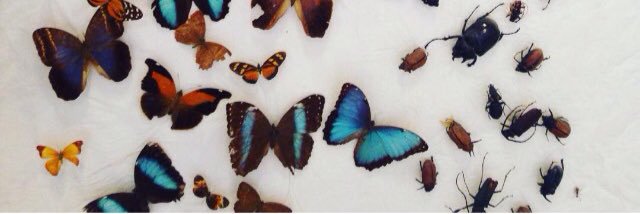 fernandavilleta's profile banner image