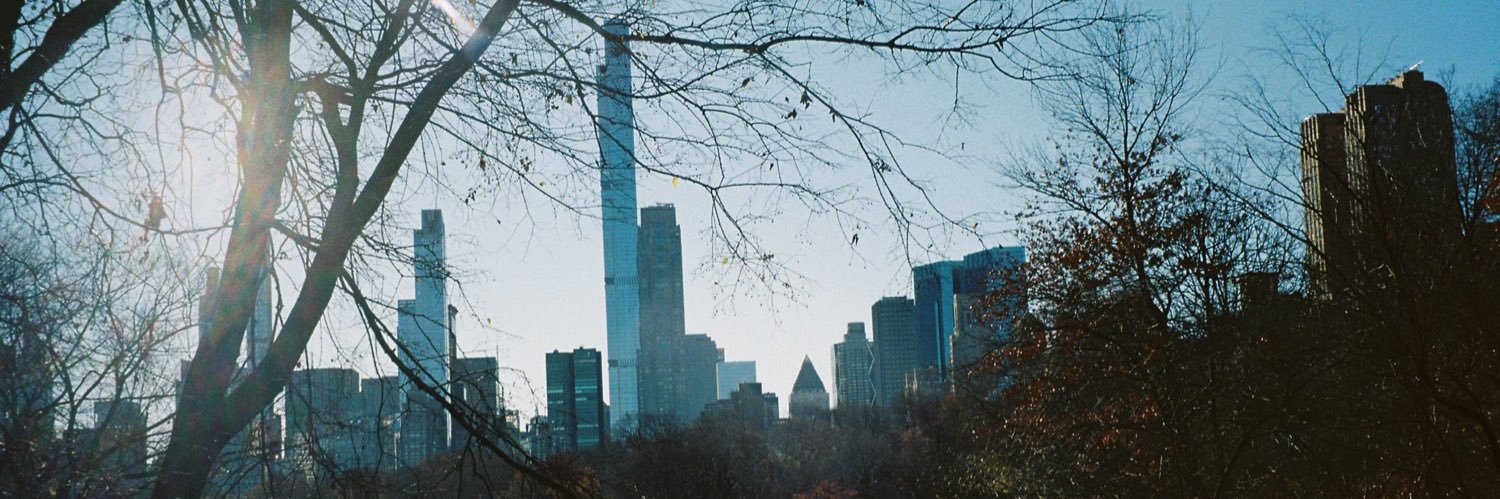 regandidier's profile banner image