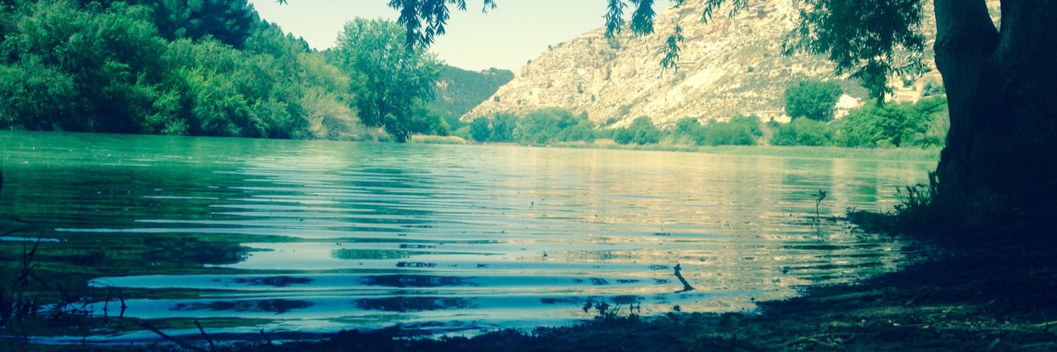 Tomas Monteagudo banner