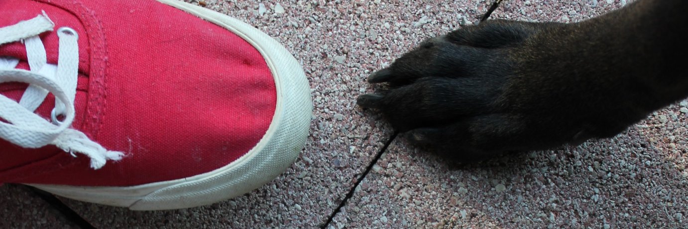 Red Shoes Moment banner