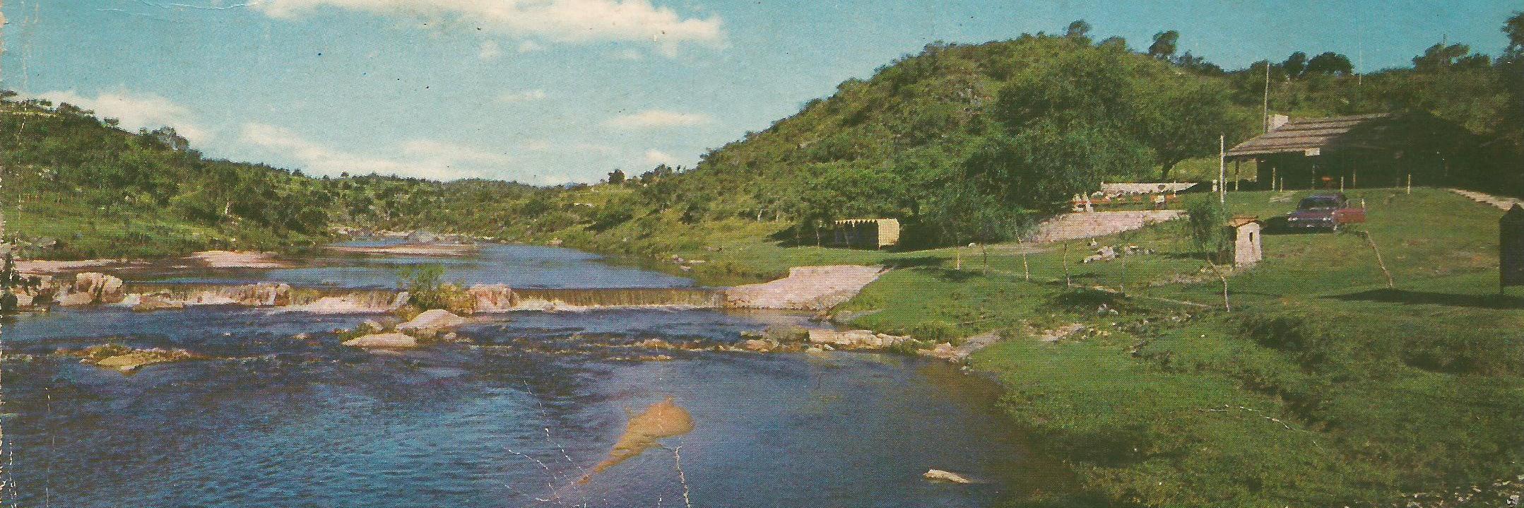 Silvio D. Spadafora banner