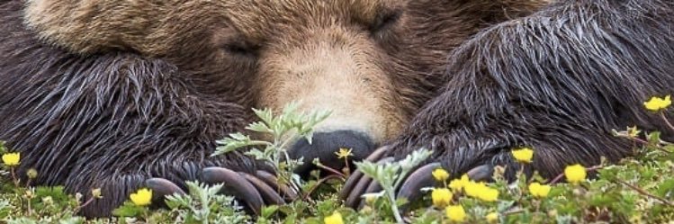 morweey's profile banner image