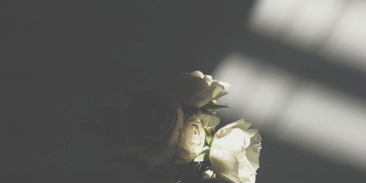 MichelleNeitzke's profile banner image