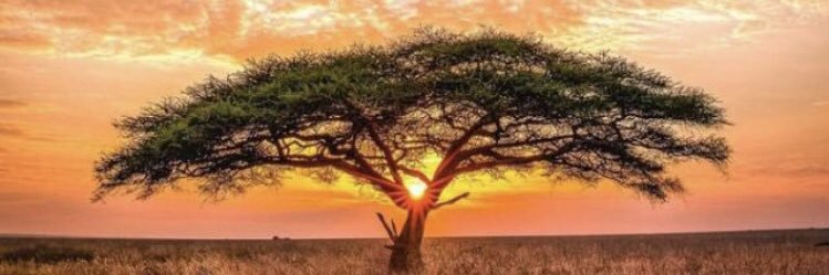 MamaCate12's profile banner image